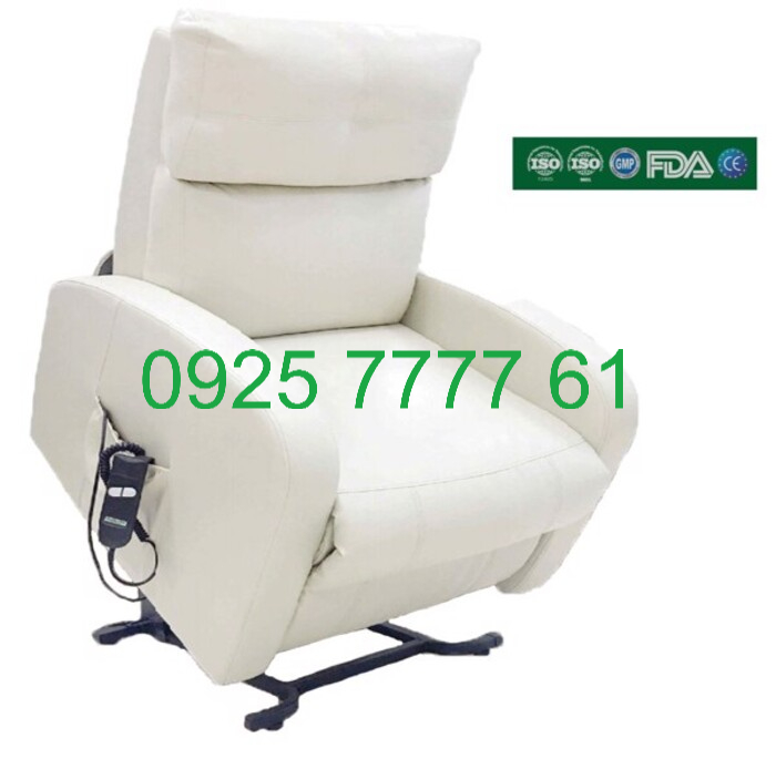 Ghế sofa nâng điện Eurocare Vesta