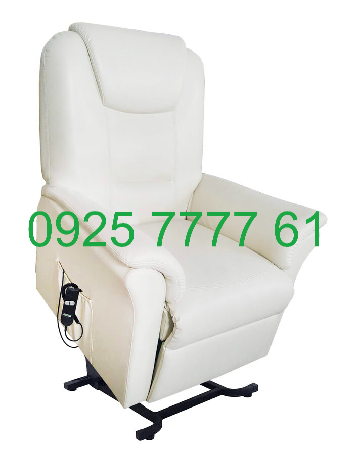 Ghế sofa nâng điện Eurocare Vesta